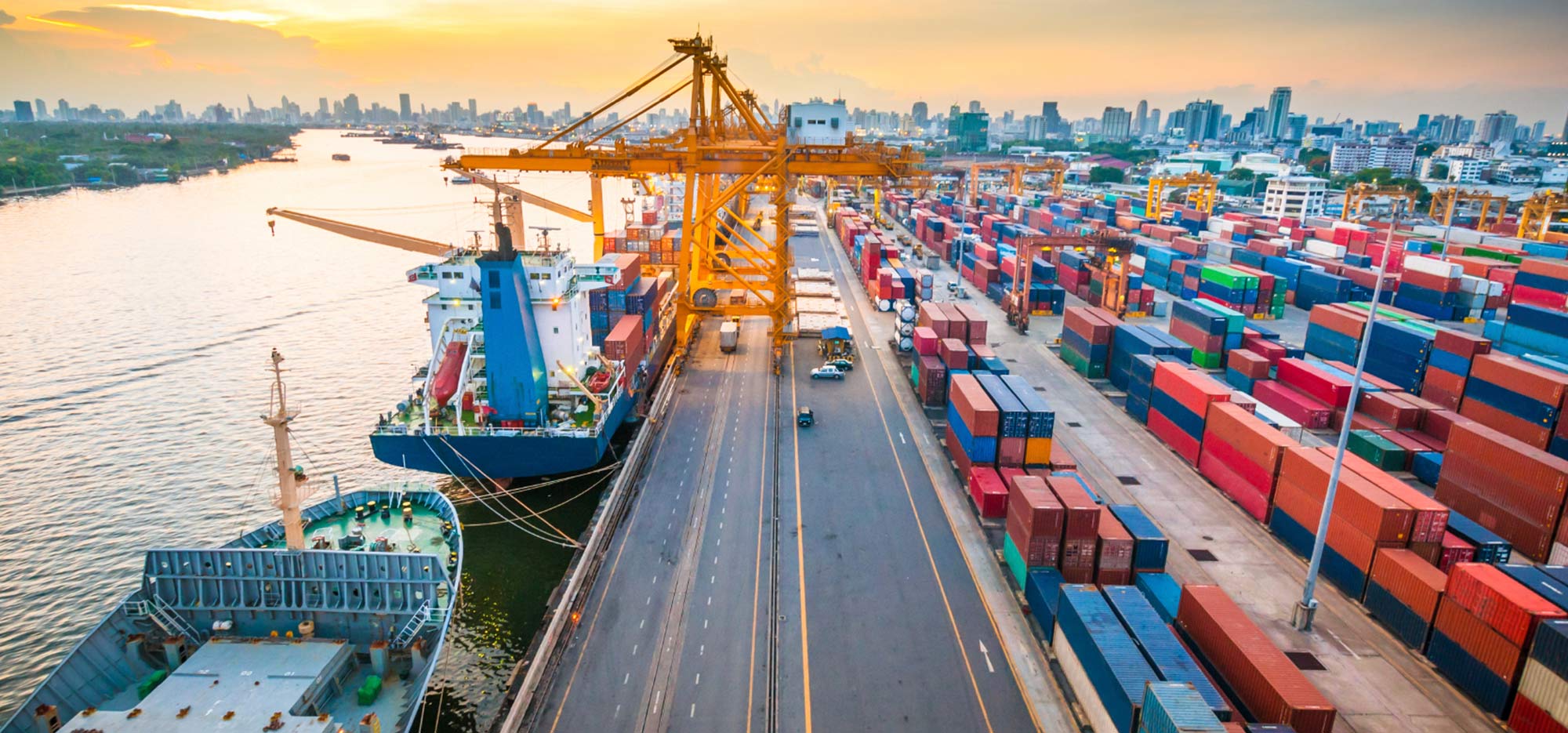 Freight Management Logistics